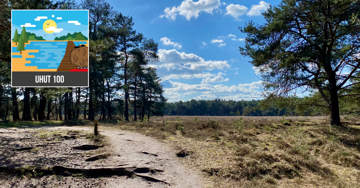 Utrechtse Heuvelrug Ultra Trail (UHUT100)