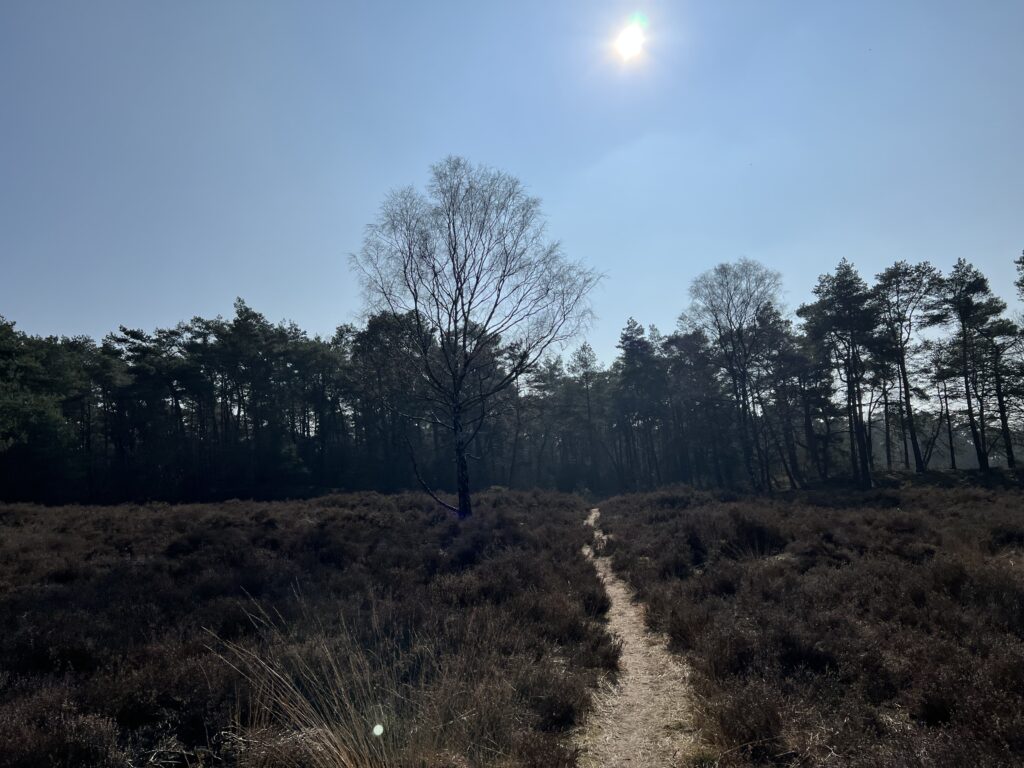 iNight Trail Utrechtse Heuvelrug