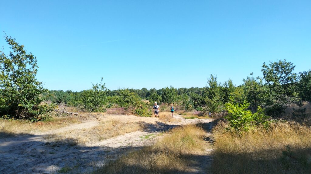 iverschil hardlopen en trailrunning