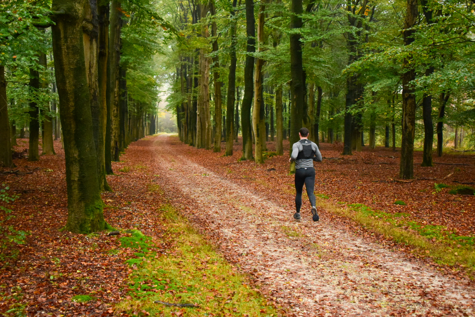 Wel of niet eten voor het hardlopen? - Trail Running