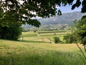 Vipava